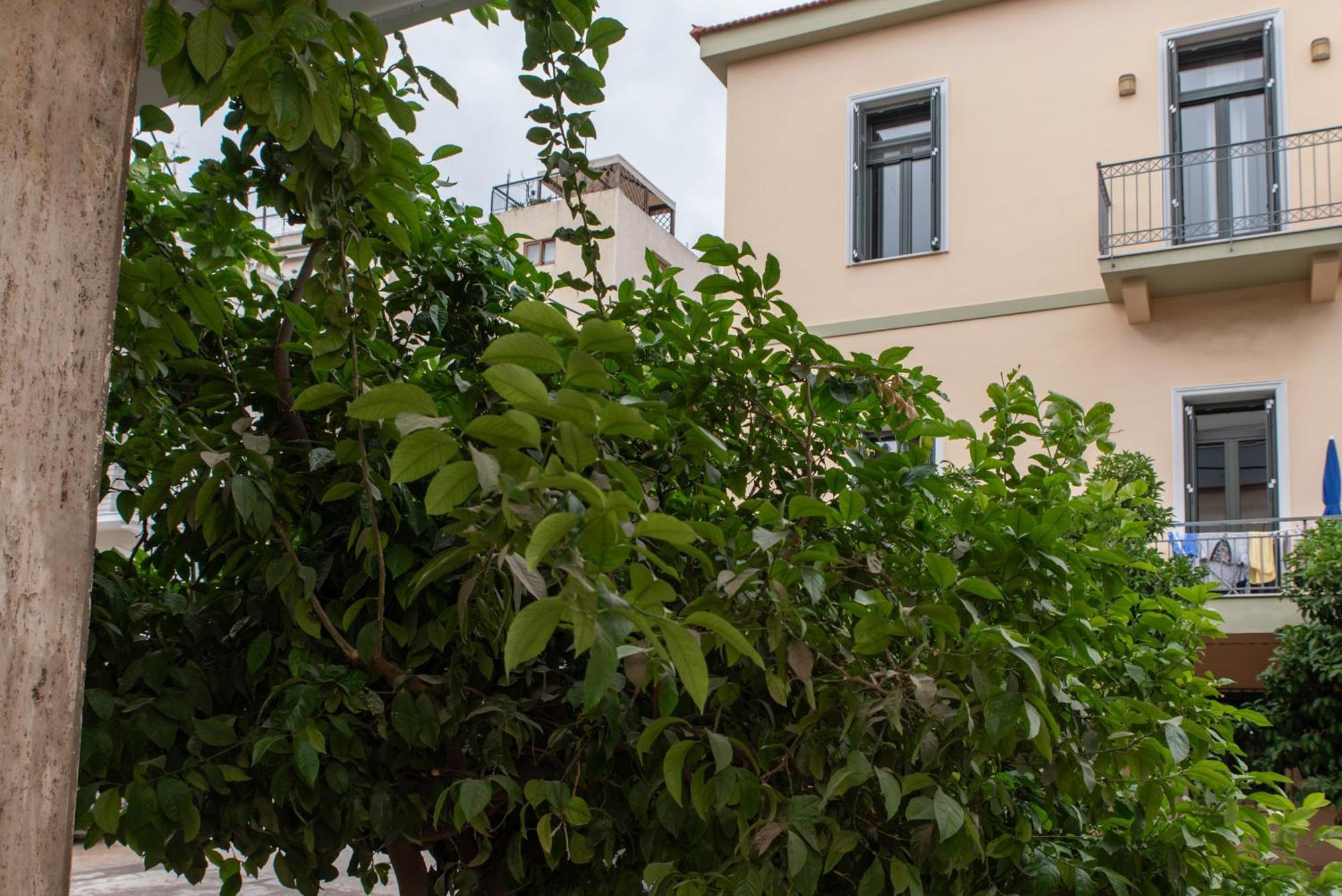 Filopappou Lemons Twins Luxurious Apartment Near To Acropolis Athen Eksteriør billede